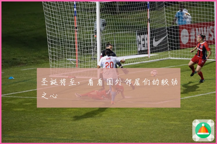 圣诞将至，看看国外邻居们的较劲之心