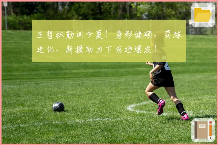 王哲林勤训今夏！身形健硕，罚球进化，新援助力下或迎爆发！